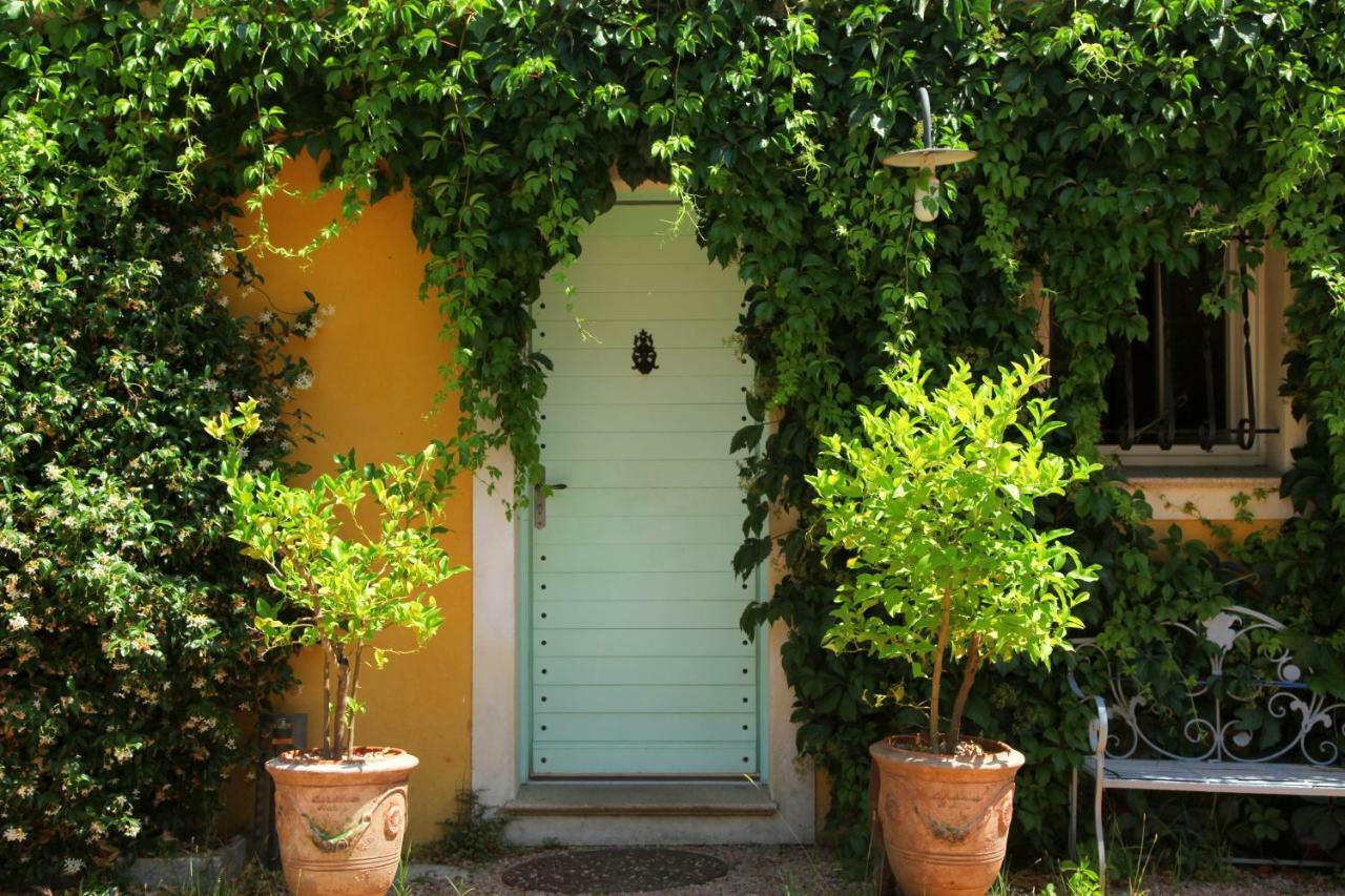 Villas Les Residences De Scaglione بورْتِكْسْيو المظهر الخارجي الصورة